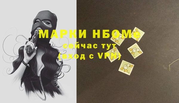 ГАЛЛЮЦИНОГЕННЫЕ ГРИБЫ Гусь-Хрустальный
