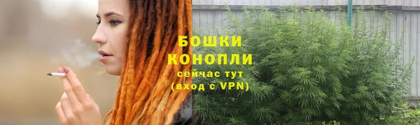 spice Гусев