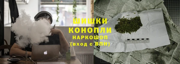 spice Гусев