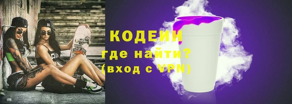 ГАЛЛЮЦИНОГЕННЫЕ ГРИБЫ Гусь-Хрустальный
