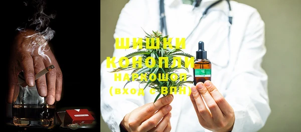 ГАЛЛЮЦИНОГЕННЫЕ ГРИБЫ Гусь-Хрустальный