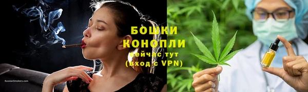 spice Гусев
