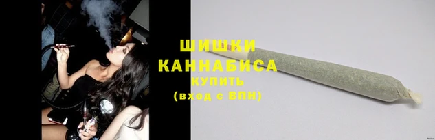 стаф Апатиты