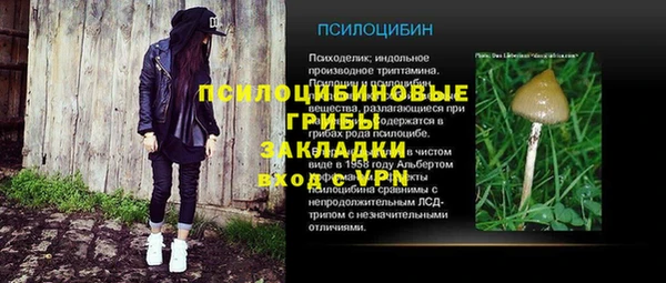 spice Гусев
