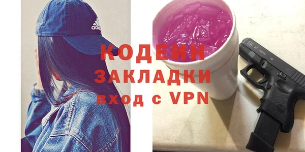 ГАЛЛЮЦИНОГЕННЫЕ ГРИБЫ Гусь-Хрустальный