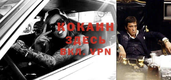 spice Гусев