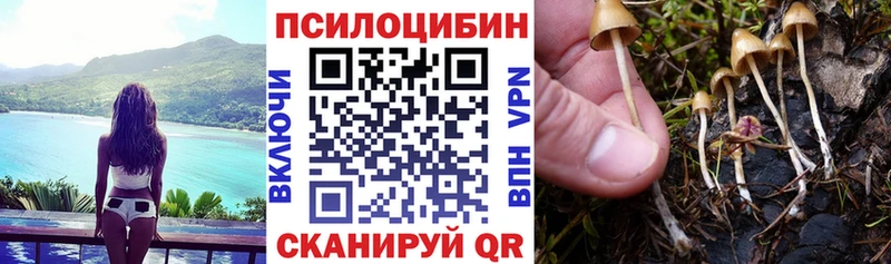 Галлюциногенные грибы MAGIC MUSHROOMS  как найти   Ермолино 